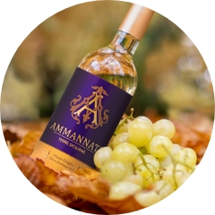 Pinot Grigio